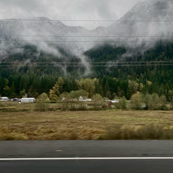 Meet your Posher, Silas - Picture 1 of 1